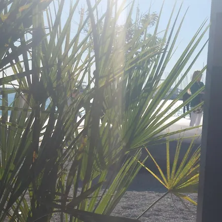 Vivito Apartment