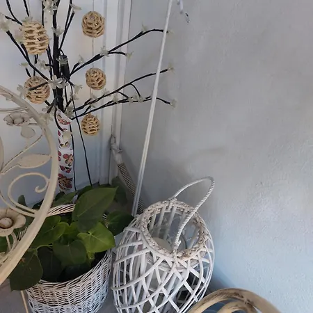 Apartment Vivito *